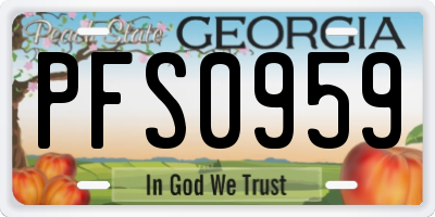 GA license plate PFS0959