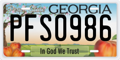 GA license plate PFS0986