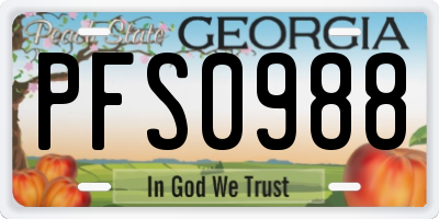 GA license plate PFS0988