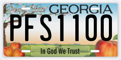 GA license plate PFS1100