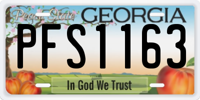 GA license plate PFS1163