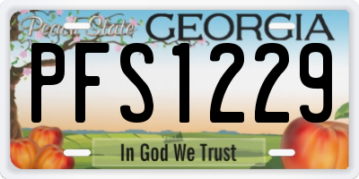 GA license plate PFS1229
