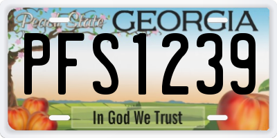 GA license plate PFS1239