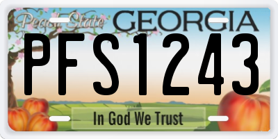 GA license plate PFS1243
