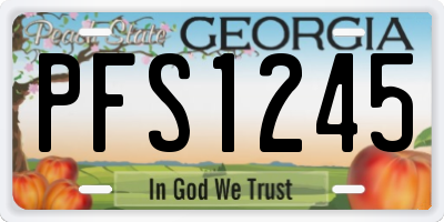 GA license plate PFS1245