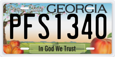 GA license plate PFS1340