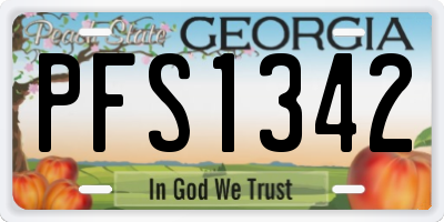 GA license plate PFS1342
