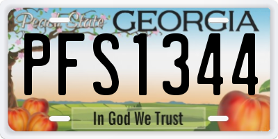 GA license plate PFS1344