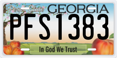 GA license plate PFS1383
