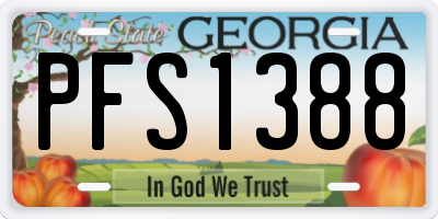 GA license plate PFS1388