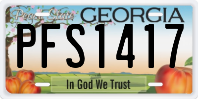 GA license plate PFS1417