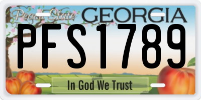 GA license plate PFS1789