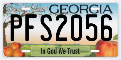 GA license plate PFS2056