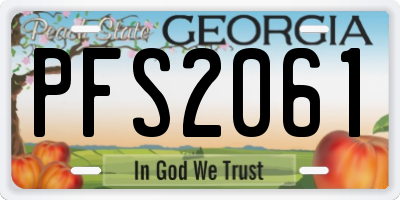 GA license plate PFS2061