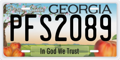 GA license plate PFS2089