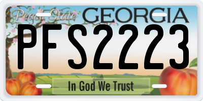 GA license plate PFS2223
