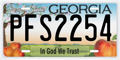 GA license plate PFS2254
