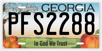 GA license plate PFS2288