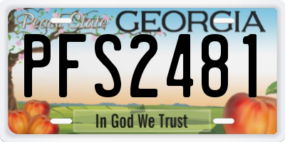 GA license plate PFS2481