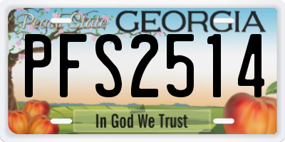 GA license plate PFS2514