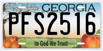 GA license plate PFS2516