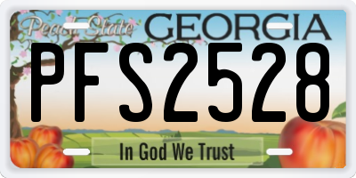 GA license plate PFS2528