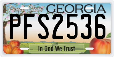 GA license plate PFS2536