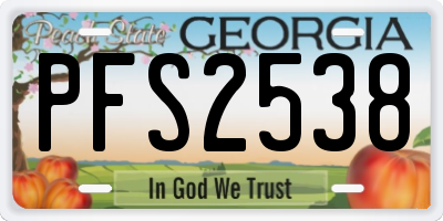 GA license plate PFS2538