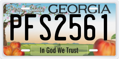GA license plate PFS2561
