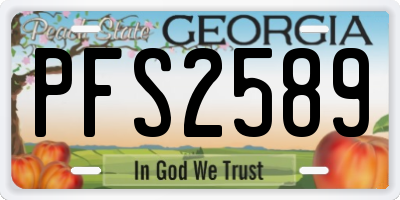 GA license plate PFS2589