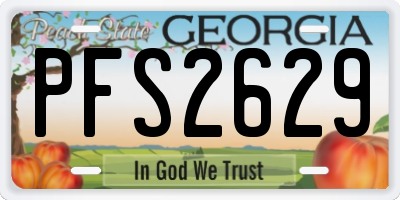 GA license plate PFS2629