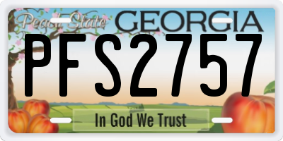 GA license plate PFS2757
