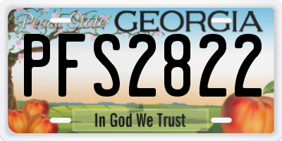 GA license plate PFS2822