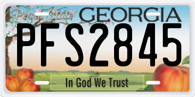 GA license plate PFS2845
