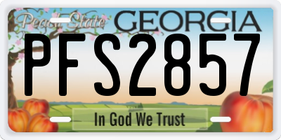 GA license plate PFS2857