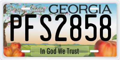 GA license plate PFS2858