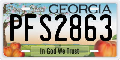 GA license plate PFS2863