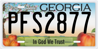 GA license plate PFS2877