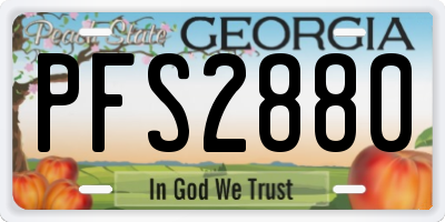 GA license plate PFS2880