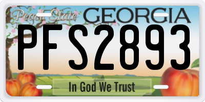 GA license plate PFS2893