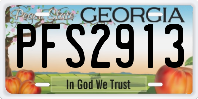 GA license plate PFS2913