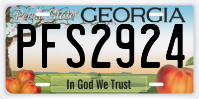 GA license plate PFS2924