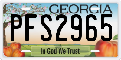 GA license plate PFS2965
