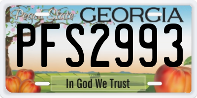 GA license plate PFS2993