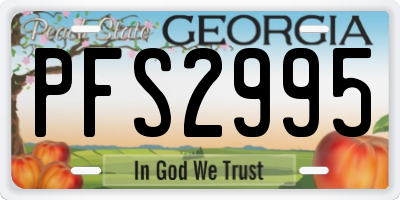 GA license plate PFS2995