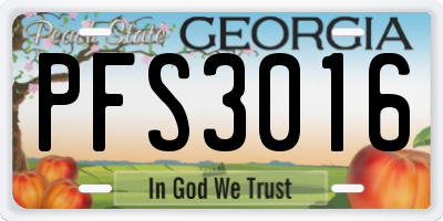 GA license plate PFS3016