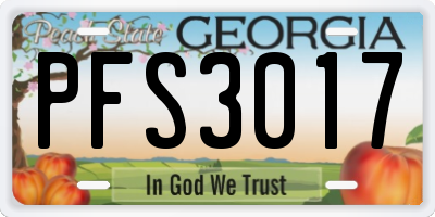 GA license plate PFS3017