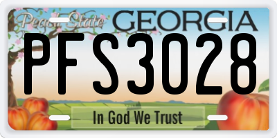 GA license plate PFS3028