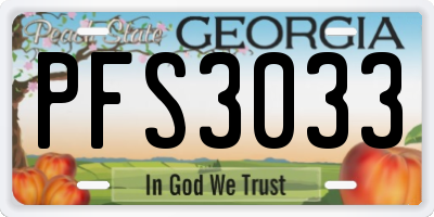 GA license plate PFS3033