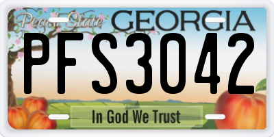 GA license plate PFS3042